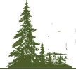 Canadian Istitute of Forestry